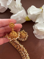 Guttapusalu Long Necklace_temple Necklace_ Gold Long Necklace_