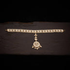 Kundan Tikka looking for a Tikka